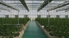 安陽內(nèi)黃科技博覽園工程案例