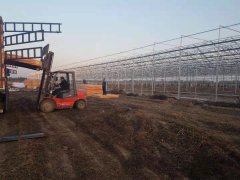 河北文安1-4號智能溫室